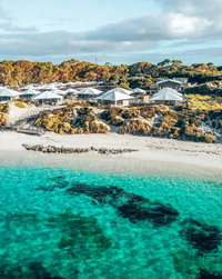 Book Rottnest Island Accommodation Vacations Tourism Noosa Tourism Noosa