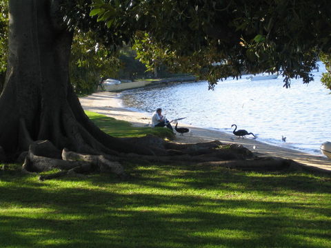 Garden Studio In Cottesloe - Tourism Noosa 11