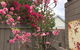Garden Studio In Cottesloe - thumb 10
