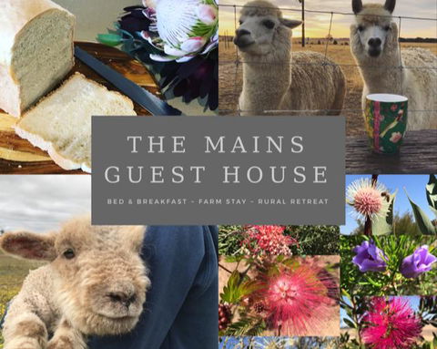 The Mains Guest House 2 Bedroom Farm Stay - Tourism Noosa 0