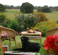 Silversprings cottages - Tourism Noosa