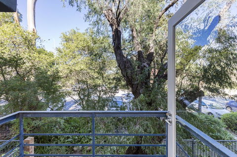 Cottesloe Tree Top Studio - Executive Escapes - Tourism Noosa 10