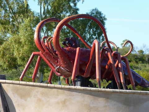 Leander Reef Holiday Park - Tourism Noosa 4