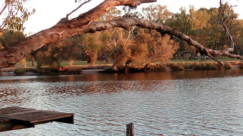 Ascot On Swan Bed & Breakfast - Tourism Noosa 9