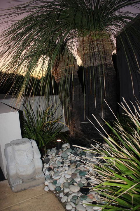 Aquatic Visions - Tourism Noosa 31