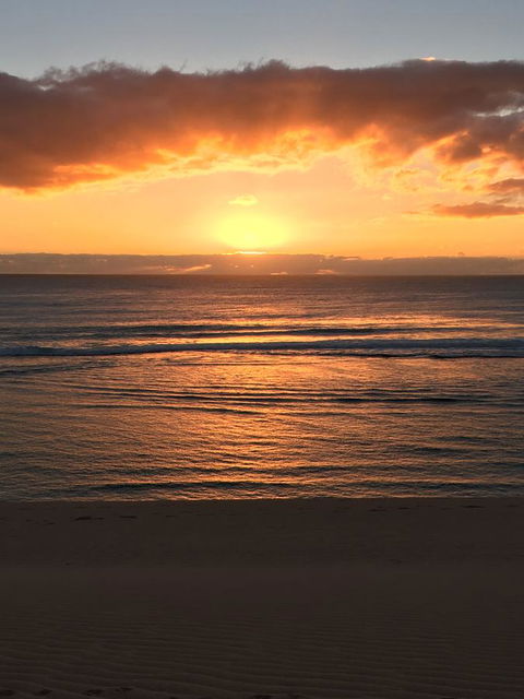 Aquatic Visions - Tourism Noosa 35