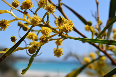 Eagle Bay House - Tourism Noosa 12