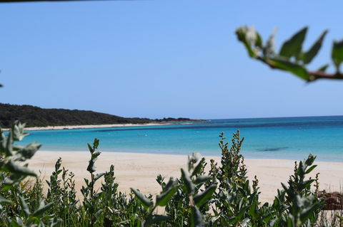 Eagle Bay House - Tourism Noosa 13