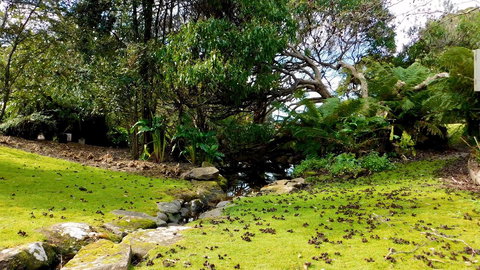 43 Degrees Bruny Island - Tourism Noosa 8