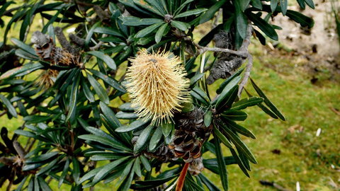 43 Degrees Bruny Island - Tourism Noosa 11