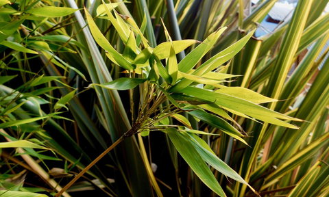 43 Degrees Bruny Island - Tourism Noosa 10