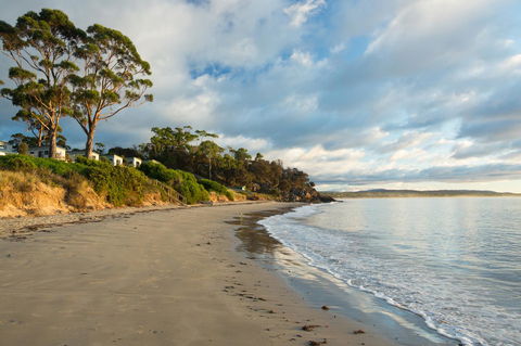 Swansea Beach Chalets - Tourism Noosa 44