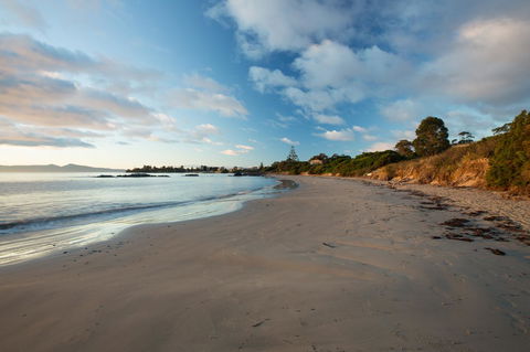 Swansea Beach Chalets - Tourism Noosa 40