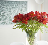 On The Beach Waterfront Apartment - Tourism Noosa
