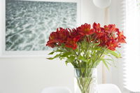 Book Kingston Accommodation Vacations Tourism Noosa Tourism Noosa