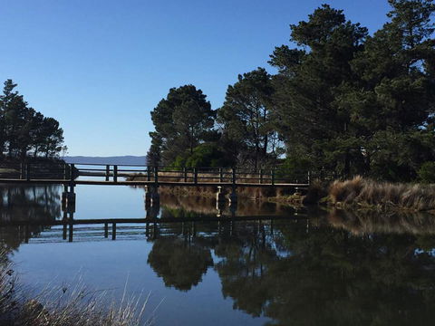 Swansea Holiday Park Tasmania - Tourism Noosa 41