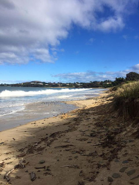 Swansea Holiday Park Tasmania - Tourism Noosa 15