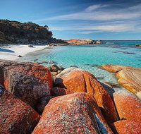 Homelea Accommodation - Tourism Noosa