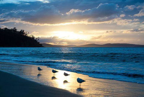 The Ultimate Beach House - Tourism Noosa 8