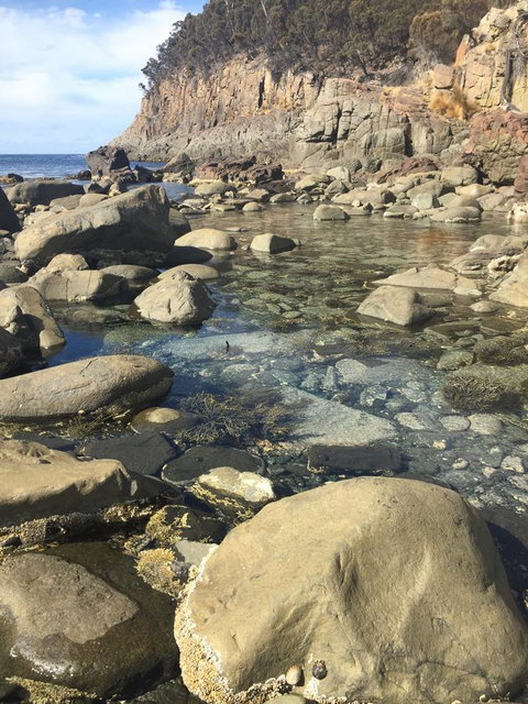 970 Adventure Bay Road - Tourism Noosa 2