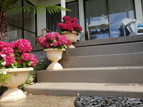 Garden By The Beach - Gateway To The East Coast, Close To Airport - Tourism Noosa 8