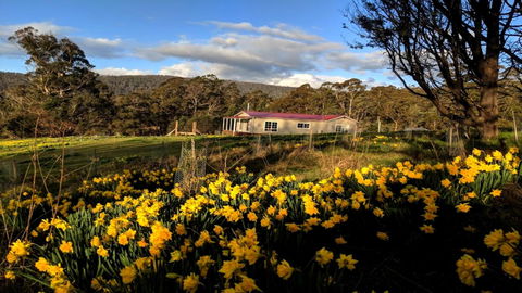 Mountain Blue Guest House - Tourism Noosa 3