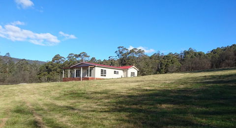 Mountain Blue Guest House - Tourism Noosa 26