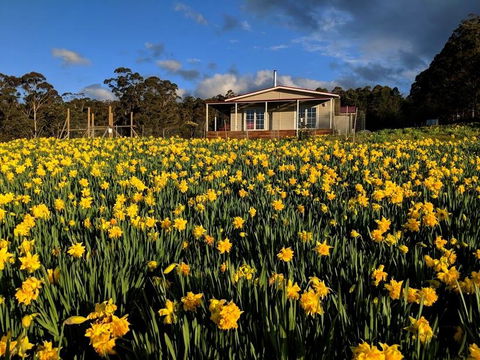 Mountain Blue Guest House - Tourism Noosa 0