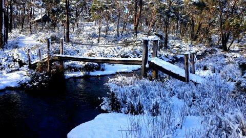 Cradle Mountain Love Shack - Tourism Noosa 10