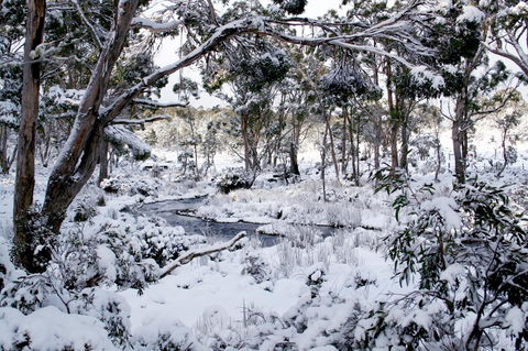 Cradle Mountain Love Shack - Tourism Noosa 11