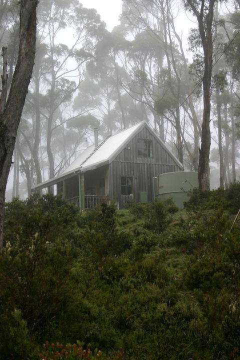Cradle Mountain Love Shack - Tourism Noosa 6