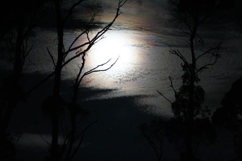 Cradle Mountain Love Shack - Tourism Noosa 12