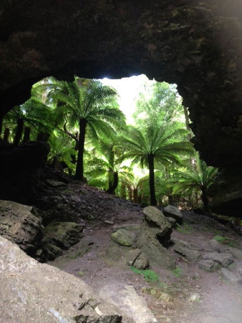 Sheer Pleasure Accommodation - Tourism Noosa 21