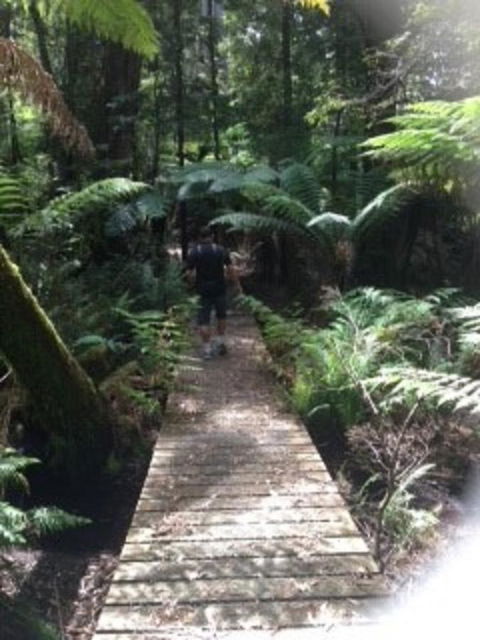 Sheer Pleasure Accommodation - Tourism Noosa 23