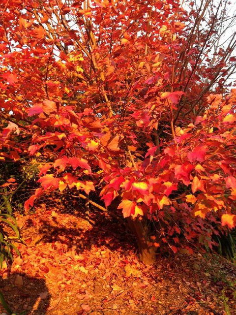 Sheer Pleasure Accommodation - Tourism Noosa 26