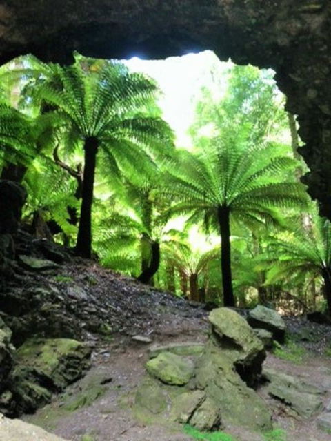 Sheer Pleasure Accommodation - Tourism Noosa 22