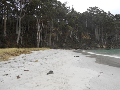 Bruny Ocean Cottage - Tourism Noosa 12