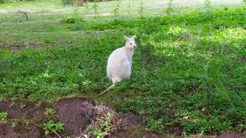 Bruny Ocean Cottage - Tourism Noosa 9