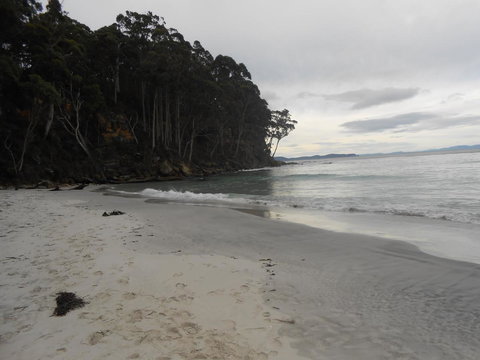 Bruny Ocean Cottage - Tourism Noosa 17