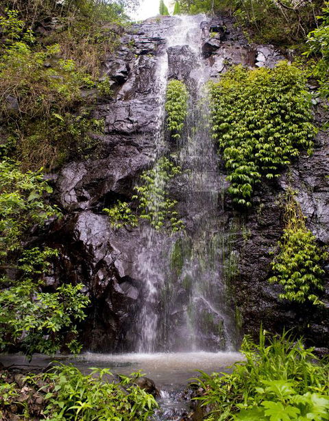 Nimbin Waterfall Retreat - Tourism Noosa 3