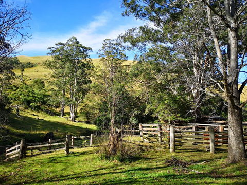 Nirvana Spiritual Retreat - Tourism Noosa 2