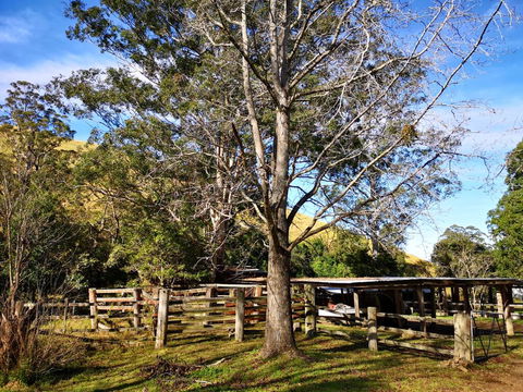 Nirvana Spiritual Retreat - Tourism Noosa 1