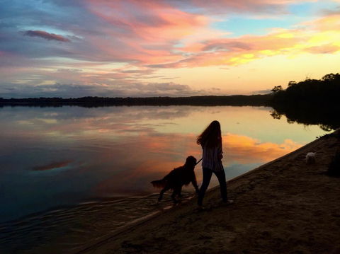 Noosa Lake House - Tourism Noosa 3