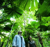 NRMA Cairns Holiday Park - Tourism Noosa