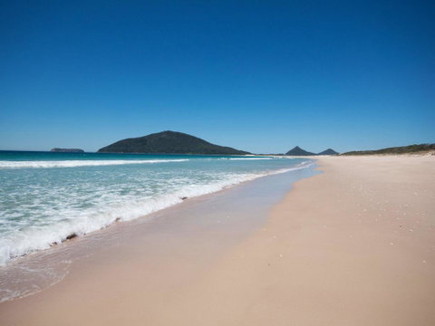 Ocean Nest - Pet Friendly - Tourism Noosa 2