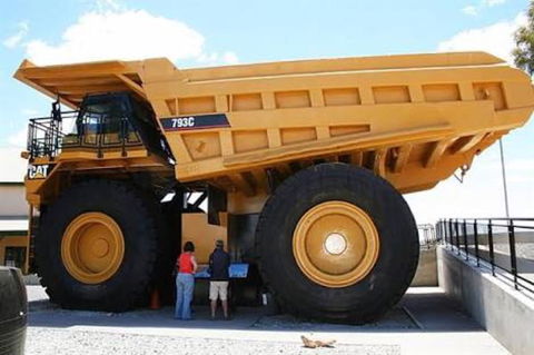 Paddys Golden Patch - Tourism Noosa 0