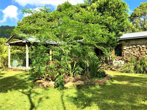 Palm Grove Rainforest Retreat - Tourism Noosa 2