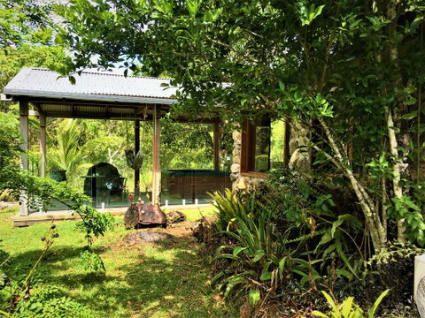Palm Grove Rainforest Retreat - Tourism Noosa 3