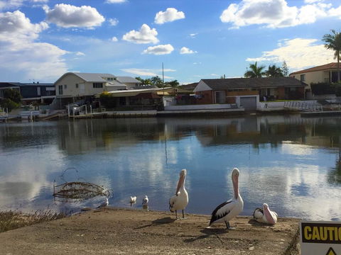 Pelican Cove Apartments - Tourism Noosa 0