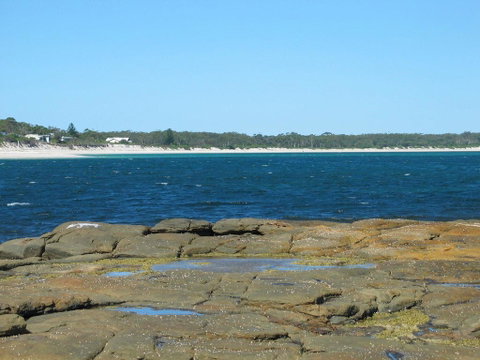 Pelican Palms - Tourism Noosa 1
